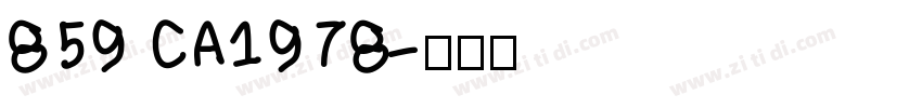 859 CA1978字体转换